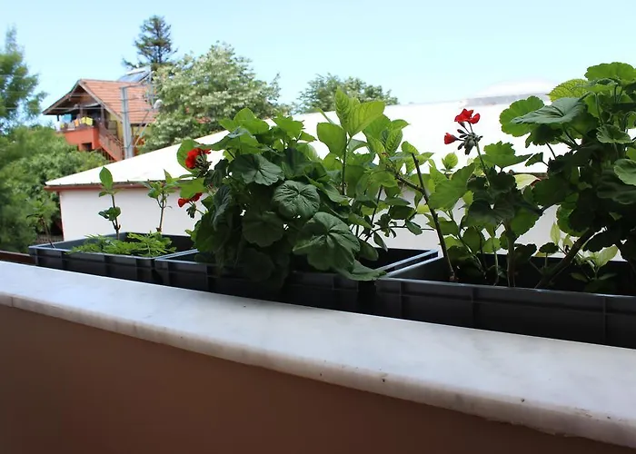 Kerpe Gunes Apart Aparthotel